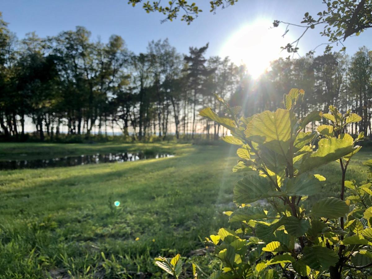 Vejciems Villa Liepene Kültér fotó